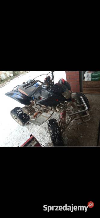 Bashan 250ccm Jabłonka