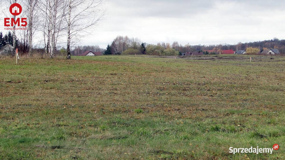 Do sprzedaży grunt 1000m2 Tołcze polna podlaskie