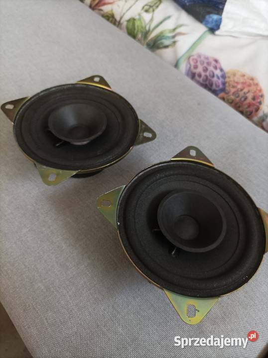 Blaupunkt AL 100 głośniki szerokopasmowe 10 100 mm Płock