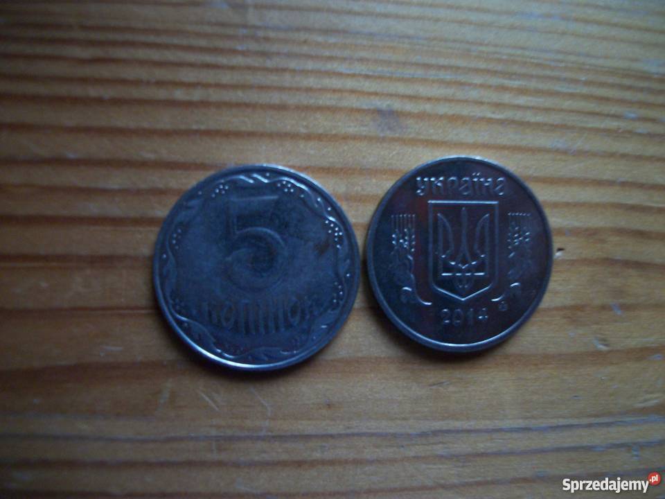 5 kopiejekUkraina