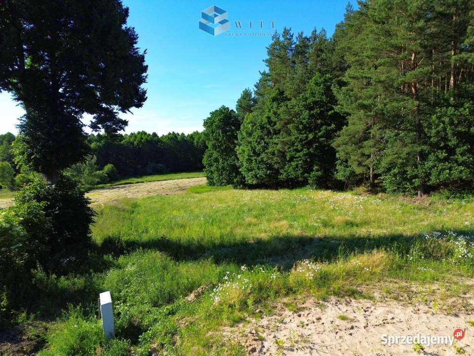 Działka 5001m2 Ostróda