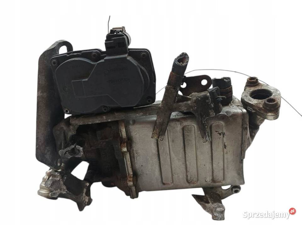 CHŁODNICA SPALIN 04L131512CF 20 TDI VW świętokrzyskie