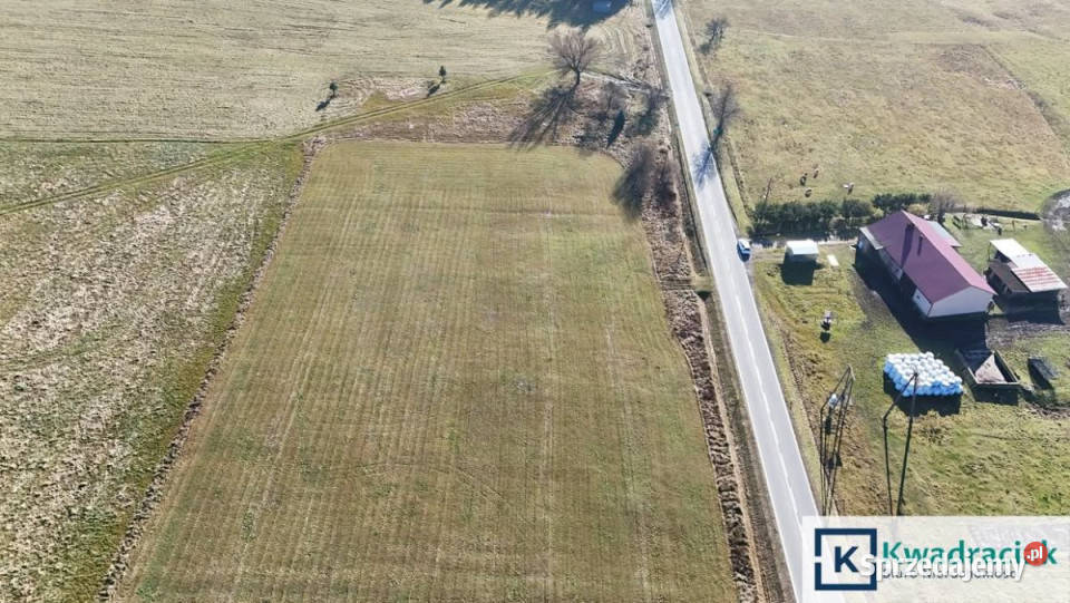 Grunt Zdynia 2762m2 sprzedam