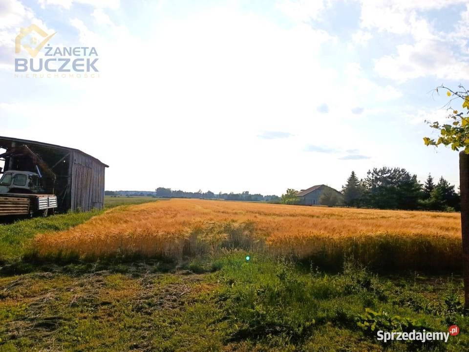 Sprzedam działkę rolną o pow 16256 ha w Bronisławy