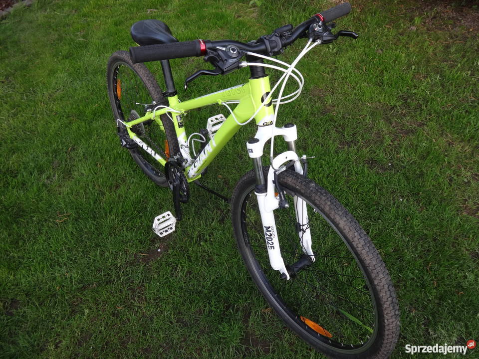Rower GIANT wielkopolskie Kamionki