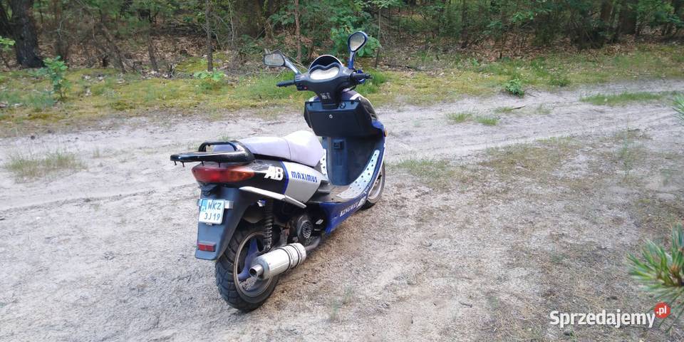 Kingway Maximus 8050 Rok produkcji 2007 Oblasy