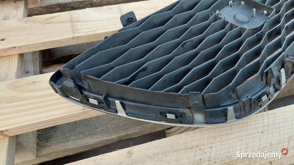 Seat Exeo grill atrapa chłodnicy lift kujawsko-pomorskie Bydgoszcz