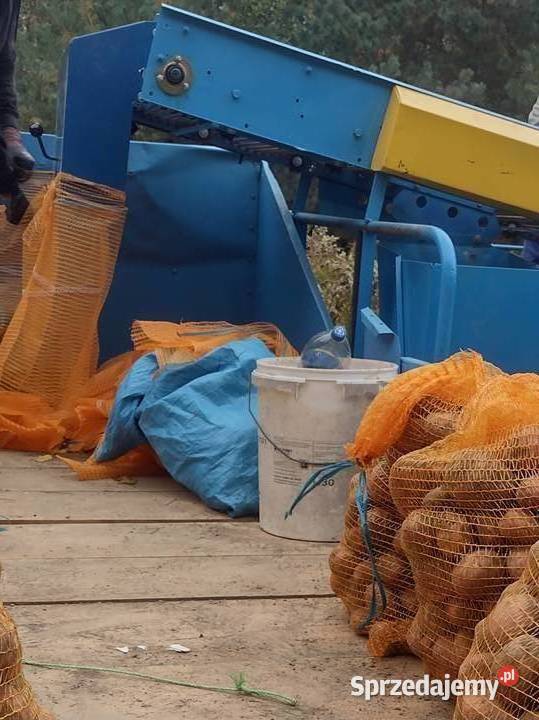 Anna Z644 lubelskie Jabłonna-Majątek sprzedam