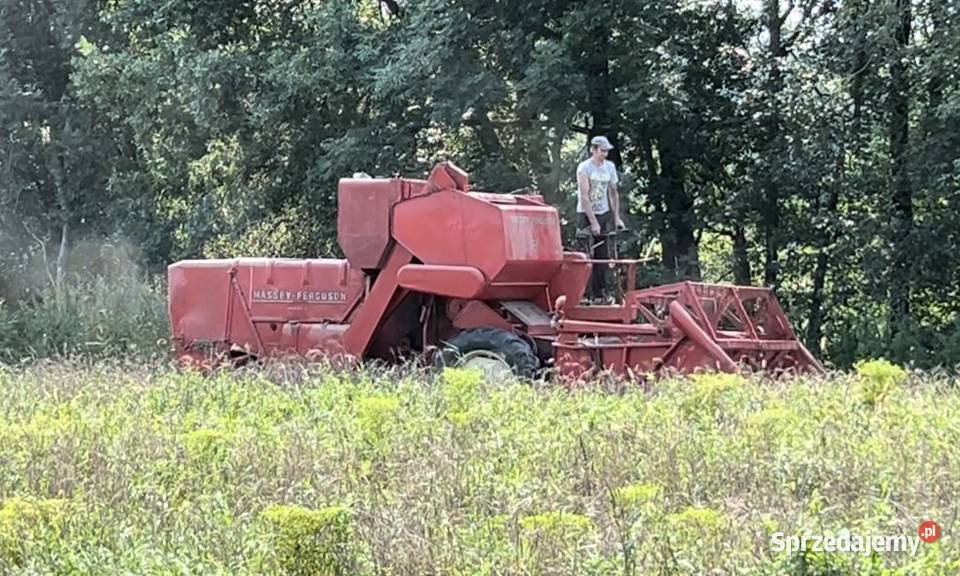 Kombajn Massey Ferguson 685 S Rzeszów
