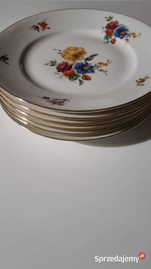 Talerze Płaskie Porcelana Francuska Limoges Ceramika i szkło Wola Podłężna