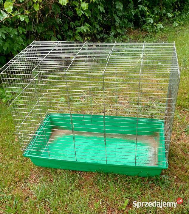 Klatka duża do gryzonia wielkopolskie Więckowice