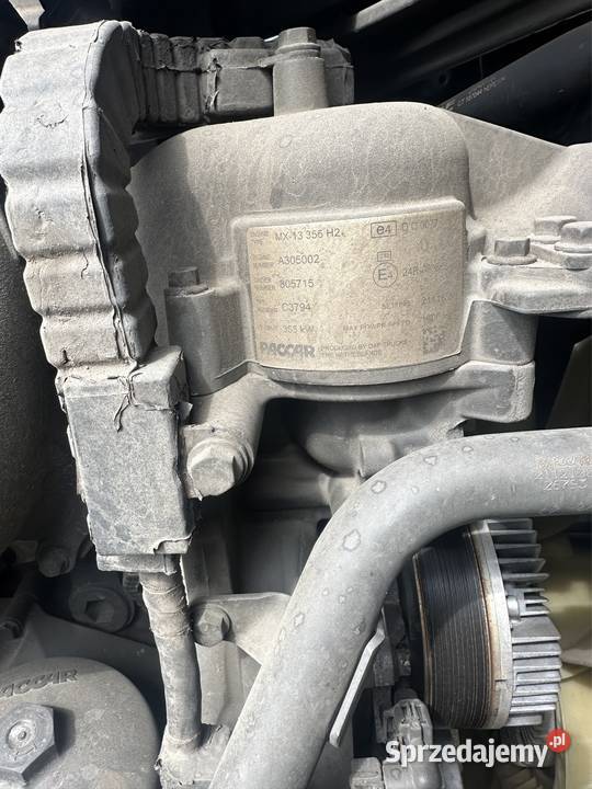 Silnik kompletny Daf Xf 106 euro6 480 mx13 355h2 wielkopolskie Marianice