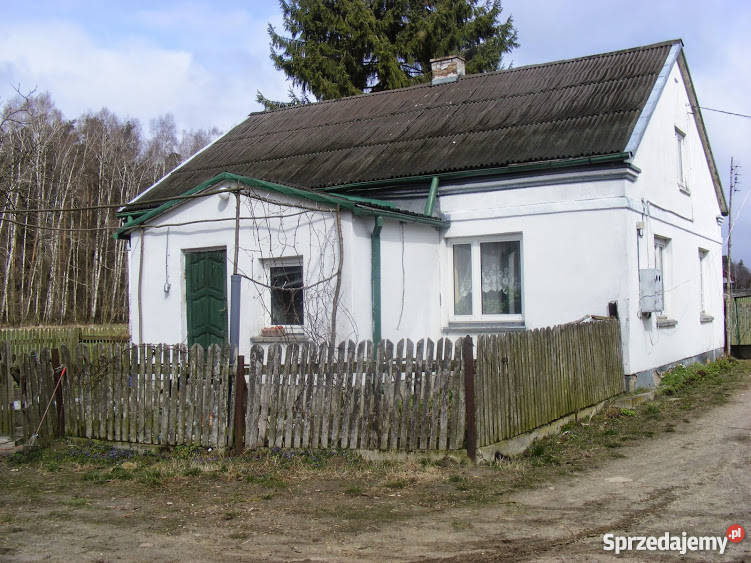 Działka siedliskowa Strzembowo 35 ha siedliskowa mazowieckie Strzembowo