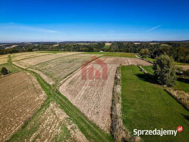 sprzedaży działki Wielopole Skrzyńskie 1000m2 50zł/m2