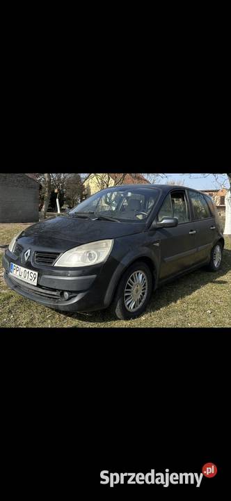 Renault Scenic wielkopolskie Dobrzyca