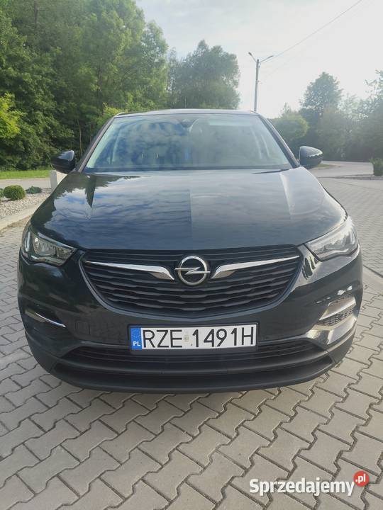 Opel GRANDLAND X 2019 130 6biegowy podkarpackie Rzeszów