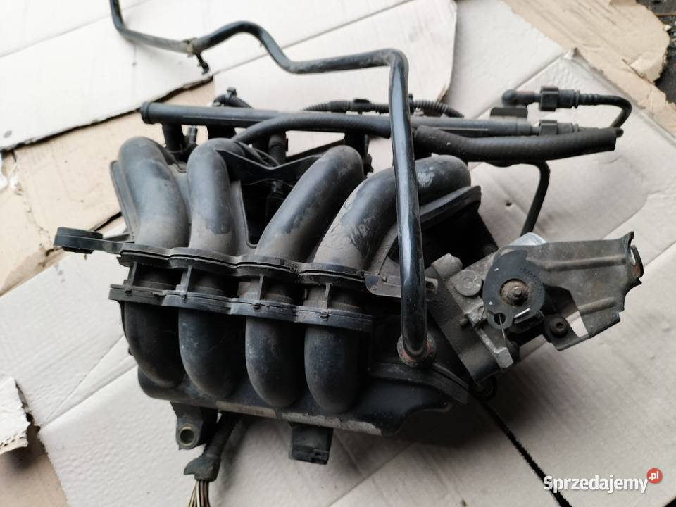 FIESTA MK5 MK6 FUSION MK1 13 14 KOLEKTOR SSĄCY Kamień-Kolonia