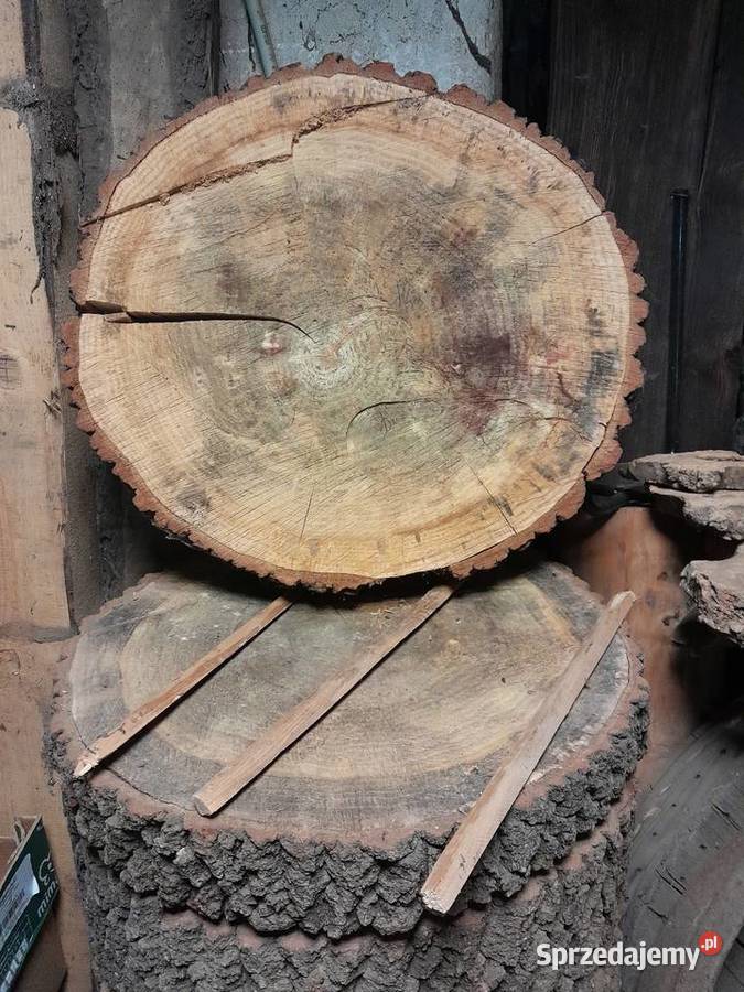 Plastry dębowe 60 różne grubości lite drewno Pozostałe Dąbrowa Górnicza