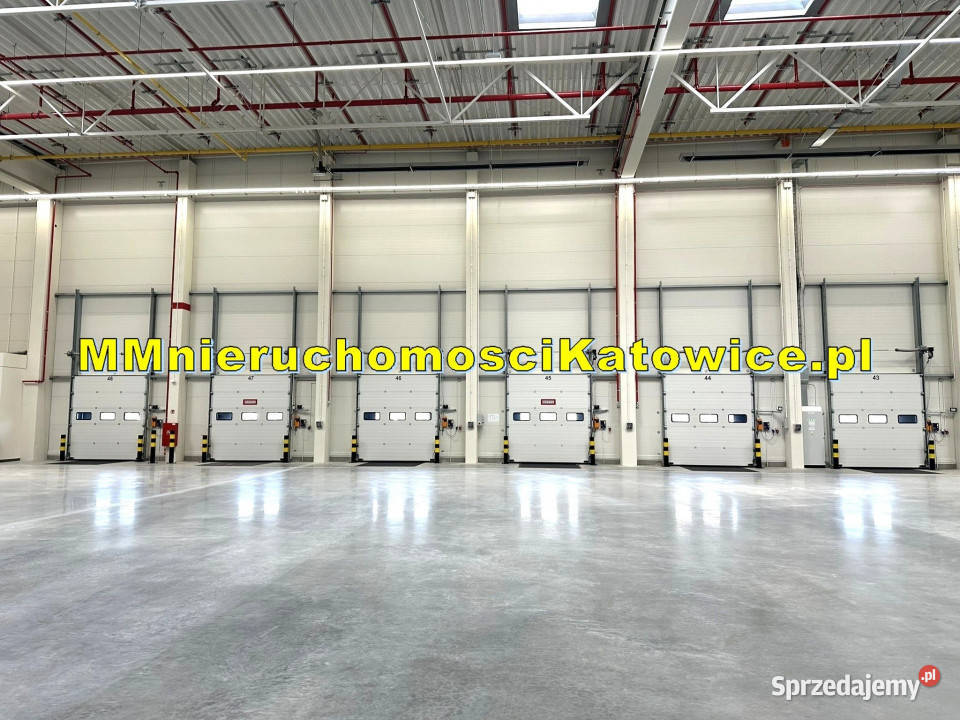 Centrum dystrybucyjne magazyny do wynajęcia 21150m2 Łowicz