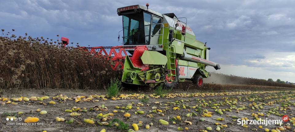 Heder Claas C 390 z stołem do rzepaku Goliszew sprzedam