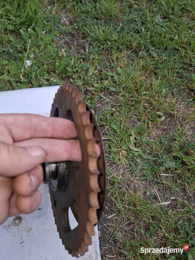 Jawa 175 zabieraki tylnego koła 100 Włoszczowa