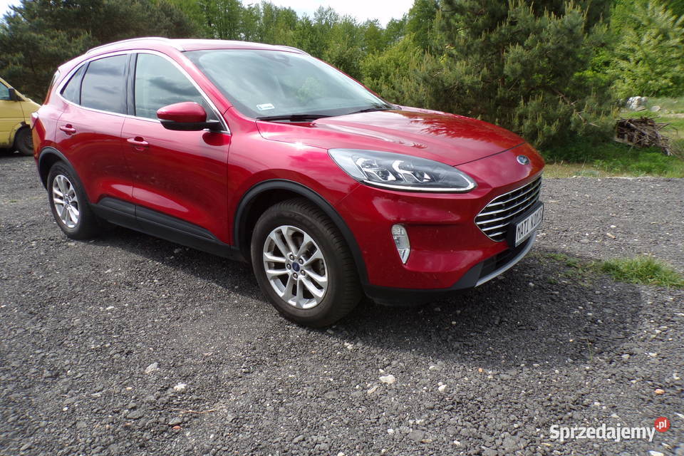 Ford Kuga IV 20TDCi 190 EcoBlue 4x4 SALON POLSKA wielkopolskie Piła sprzedam