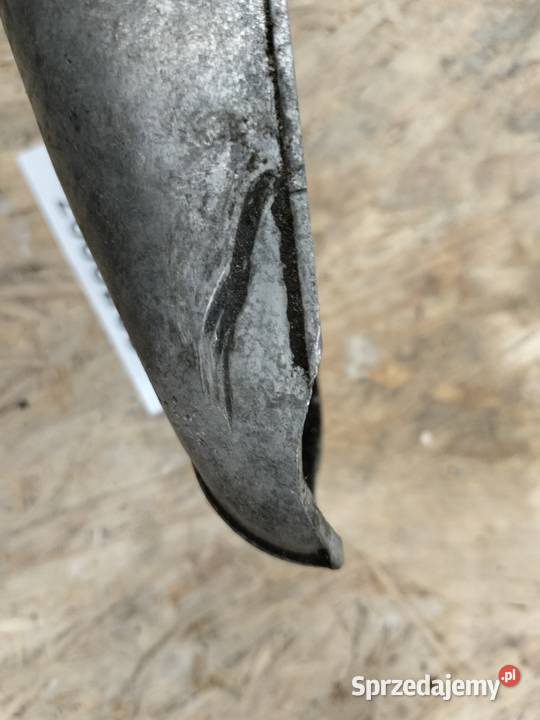 Komar dekiel zapłonu małopolskie Rozkochów