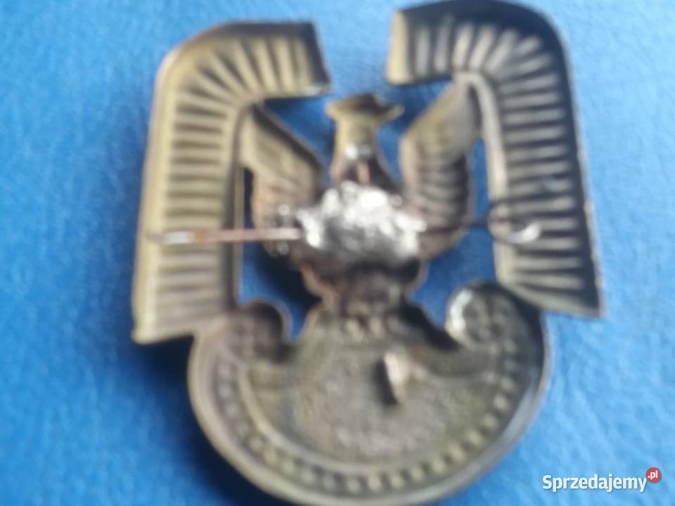 Orzełek Skwierzyna sprzedam