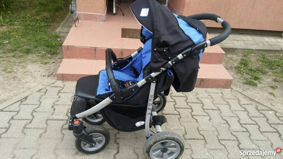 Spacerówka Zebra Lidzbark Warmiński