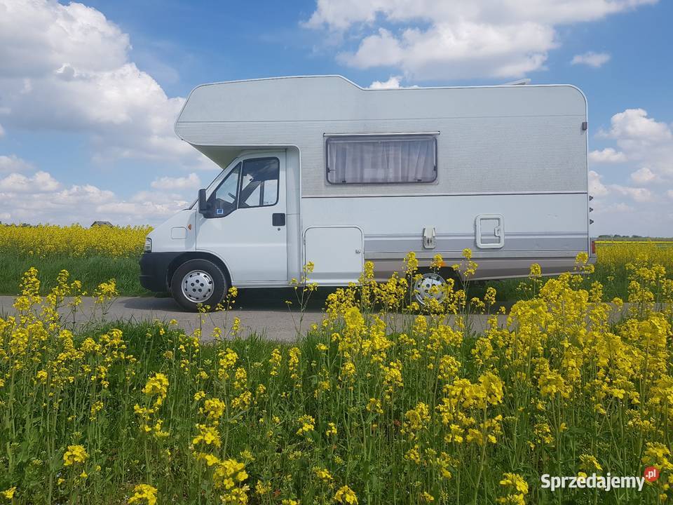 kamper camper wynajem wakacje wolne terminy