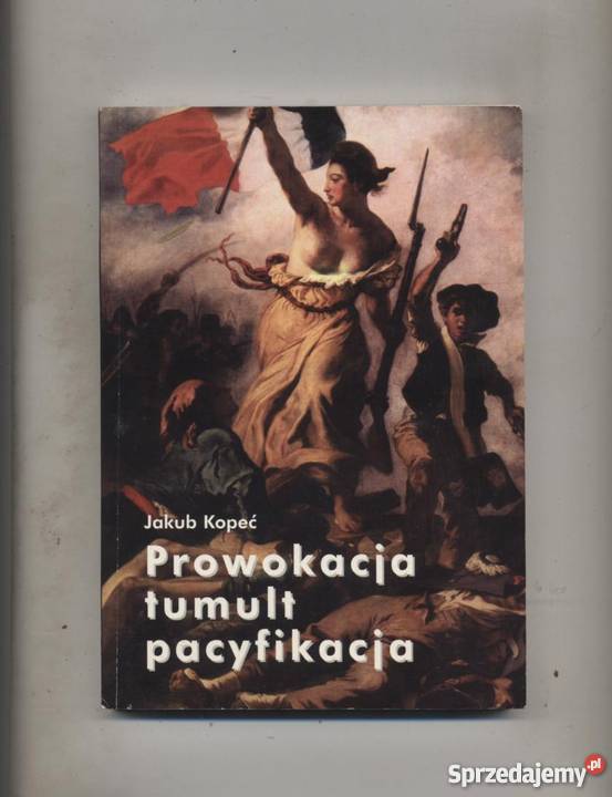 Prowokacja tumultpacyfikacja Szczecin