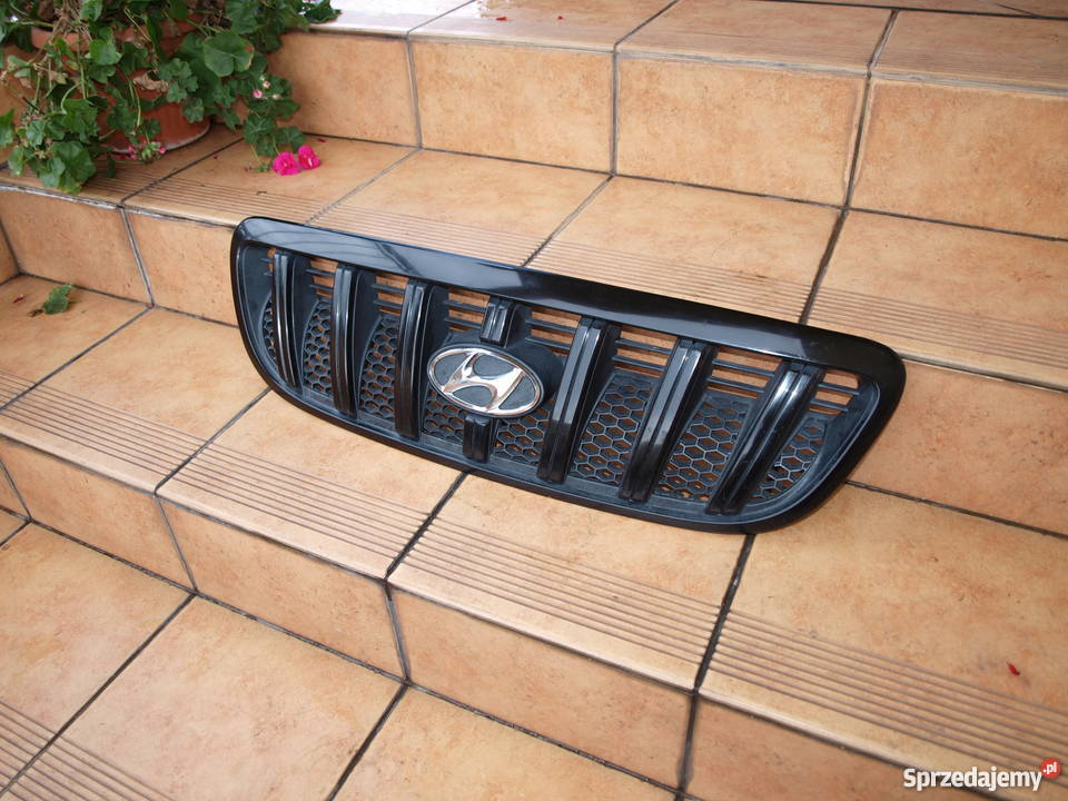 Hyundai Terracan grill atrapa przednia 2001 wielkopolskie Kalisz