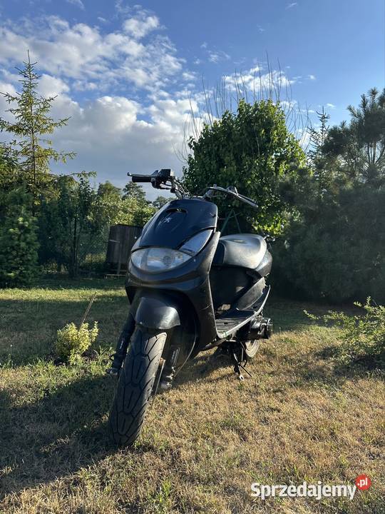 peugeot vivacity 50 lubelskie