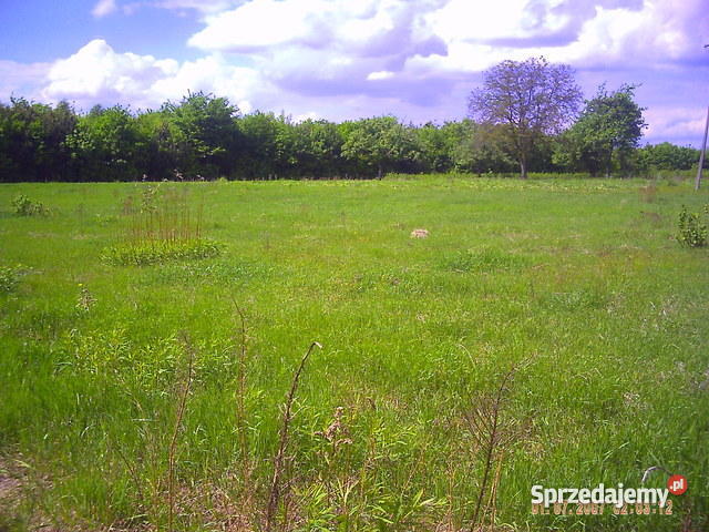 Działki Załuski Załuski