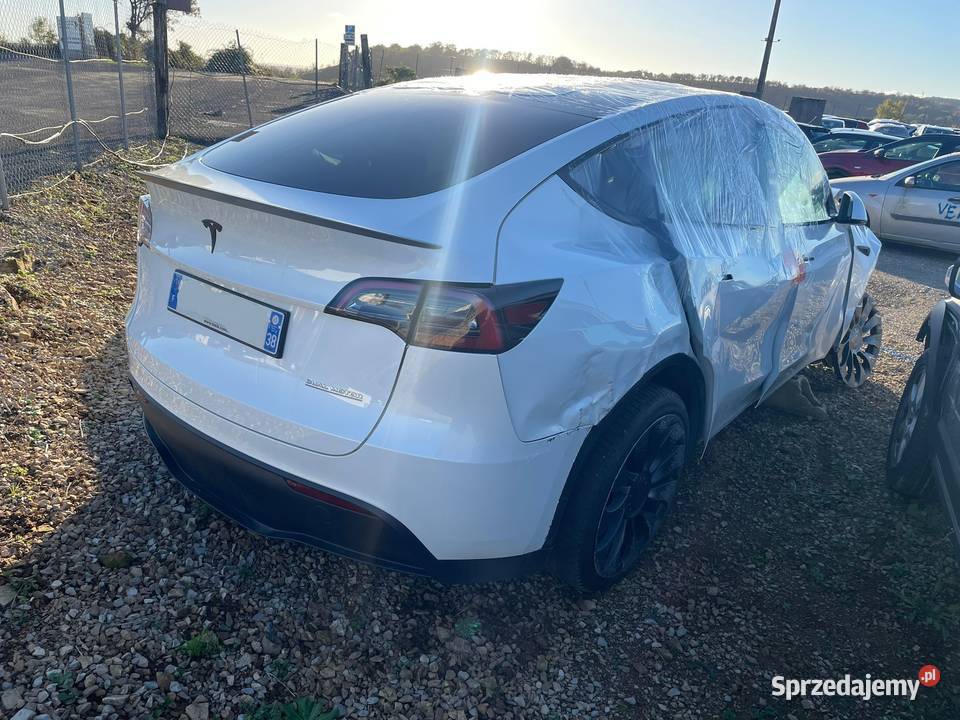 TESLA Model Y AWD Performance GK667 Gdańsk