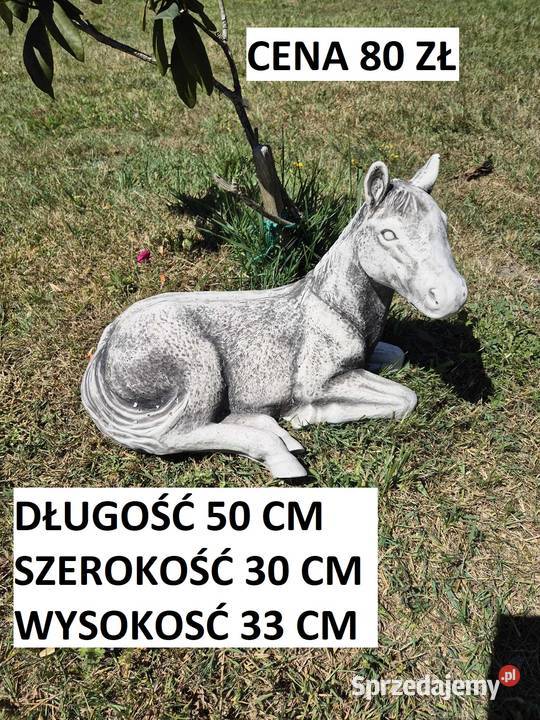 jeż gipsowy para jeży ogrodowe jeż ogrodowy Wrocław