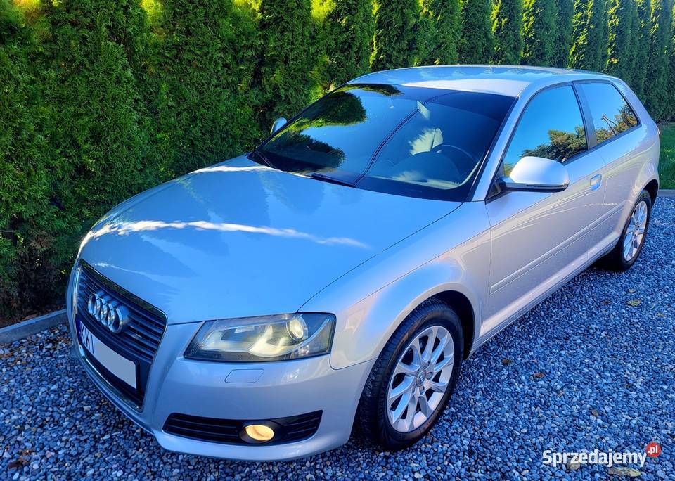 Audi A3 Lift CLIMATRONIC Xenon Alu Podgrzewane A3 sprzedam