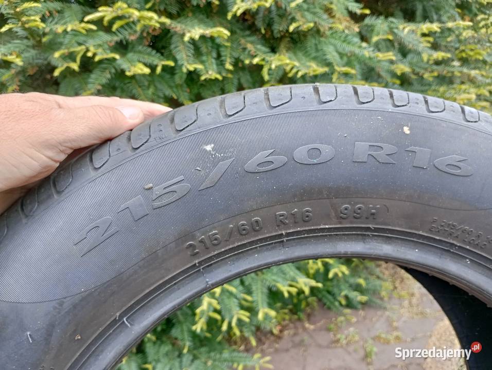 Opona Pirelli 216 60 16