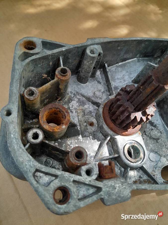 Kartery wsk 175 silnik Świerzawa
