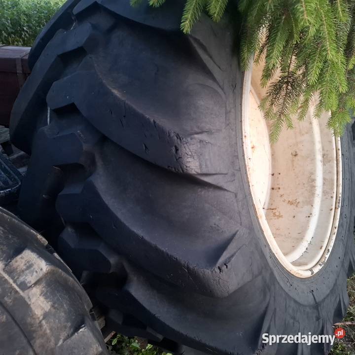 Koła Grabów nad Wisłą sprzedam