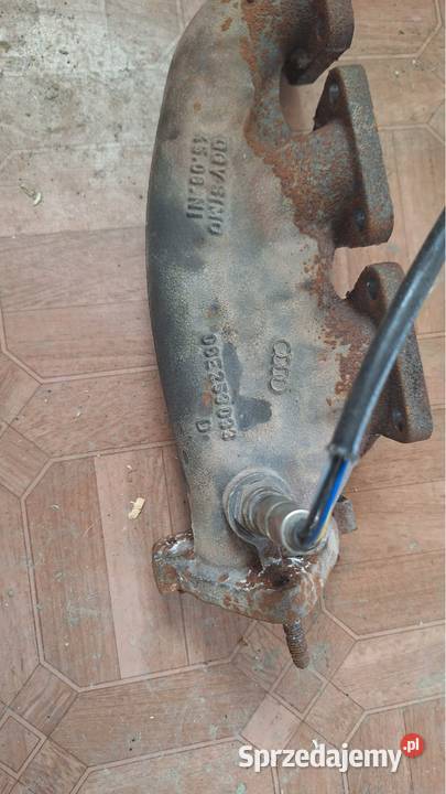 Sonda A6 C6 V6 24 BDW lubelskie
