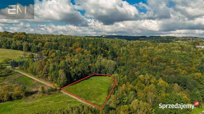 Działka 4000m2 Żyznów