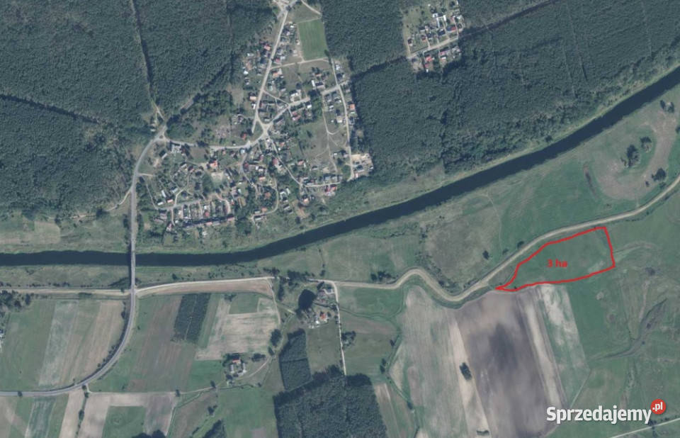 Działka łąka 3ha Stare Bielice Drezdenko Krzyż sprzedam