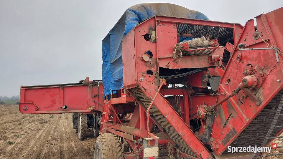 Sprzedam grimme sr 80 40 Żnin