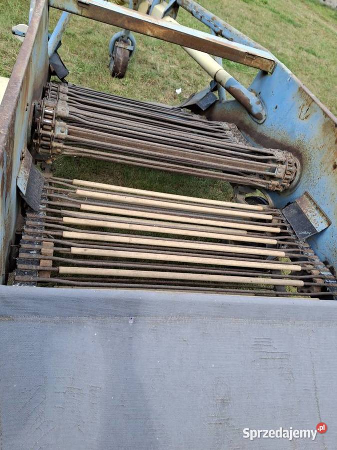 Kopaczka elewatorowa AGROMET do ziemniaków Turośń Kościelna