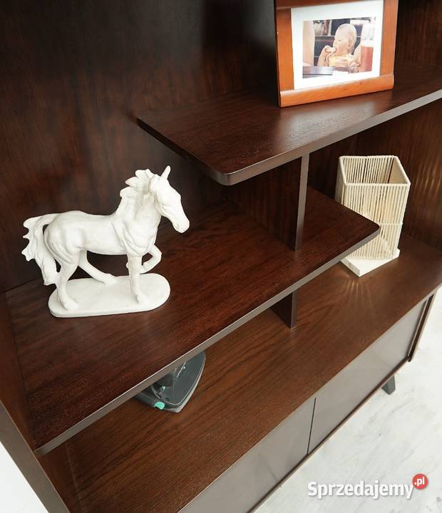 Regał Bilea 1960r PRL profesjonalnej renowacji wielkopolskie Jerka