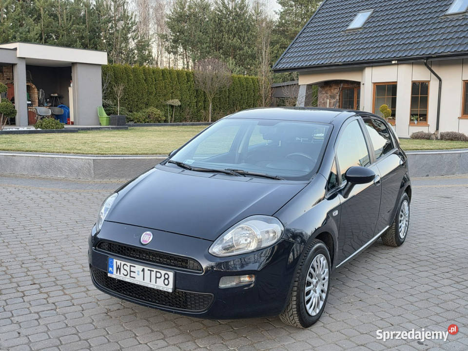 Fiat Punto Evo 14 8V Benzyna Salon Iwłaściciel 5 Hatchback Punto Evo Skępe