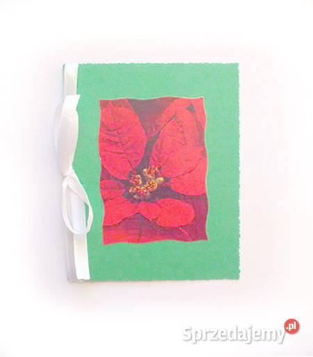 świąteczna kartka z gwiazdą betlejemską Boże Biuro Biuro zachodniopomorskie Szczecin