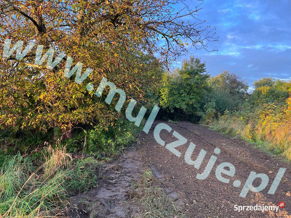 Mulczowanie wgłębne i powierzchowne Karczowanie Sucha Beskidzka