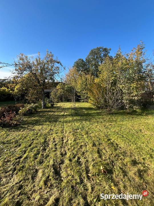 Ogródek działkowy 7 ROD Karola Miarki 1 Jelenia 520m2 Jelenia Góra